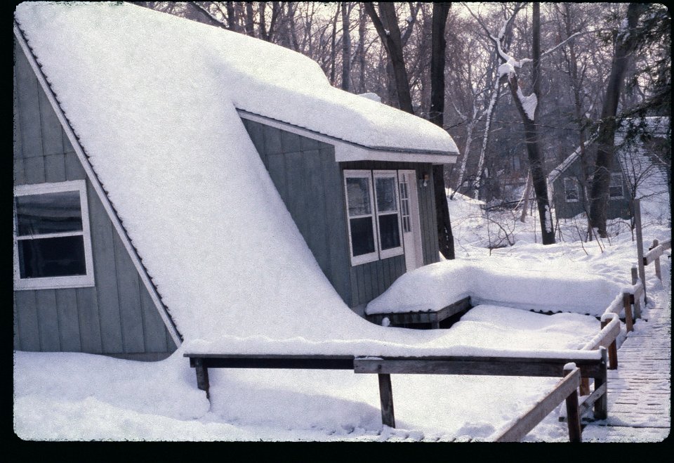 Elms Winter 1979